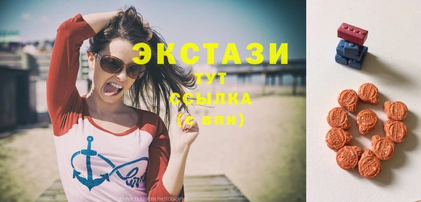 сатива Кулебаки