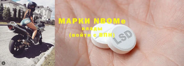сатива Кулебаки