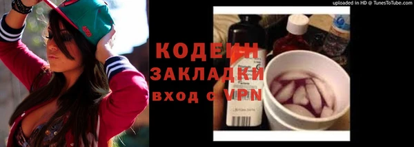 сатива Кулебаки