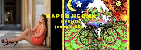сатива Кулебаки