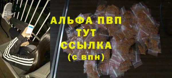 сатива Кулебаки