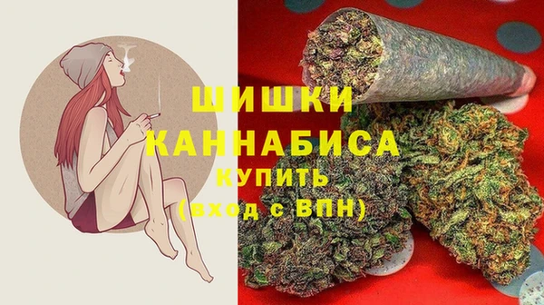 сатива Кулебаки