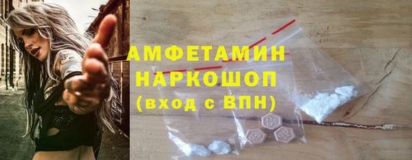 сатива Кулебаки
